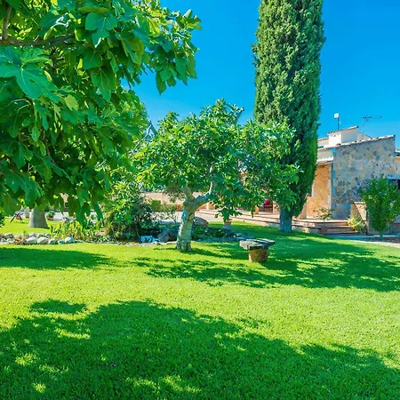 Citrino Villa
